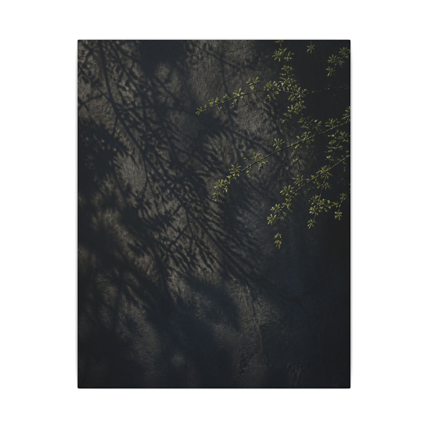 Overcast Shadow Play Canvas Art - Dark Japandi Seijaku