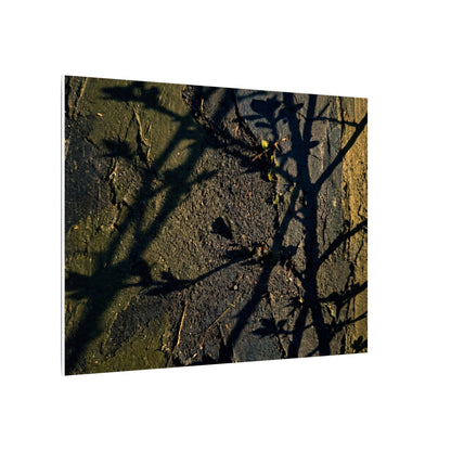 Kanso Shadow Play Canvas Art - Dark Japandi Dark Texture