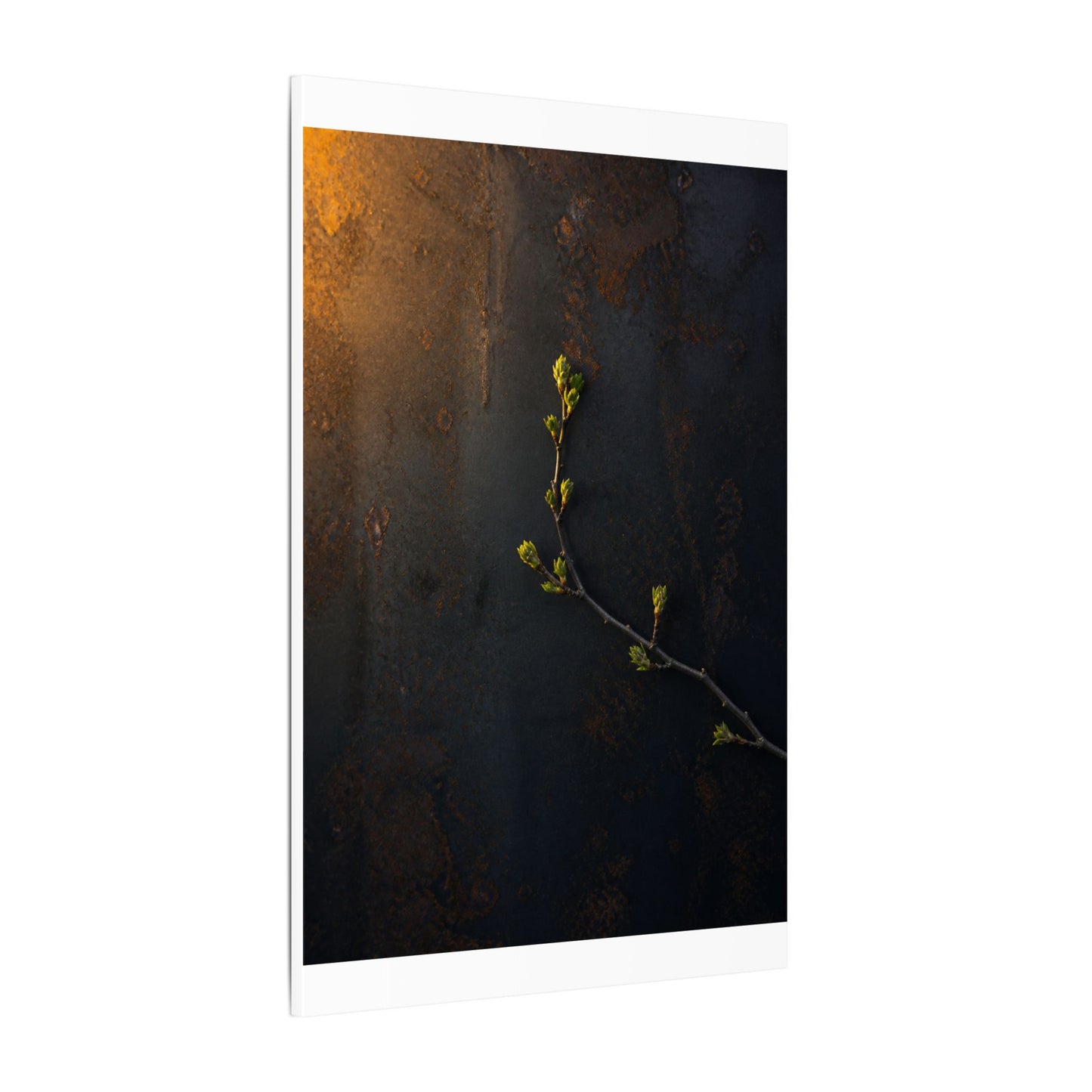 Dark Japandi Rust Patina in Golden Hour | Moody Minimal Canvas Art