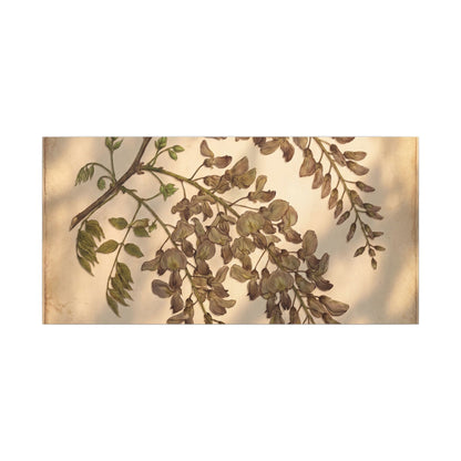 Spring Wisteria Herbarium Canvas Art | Earthy Decor