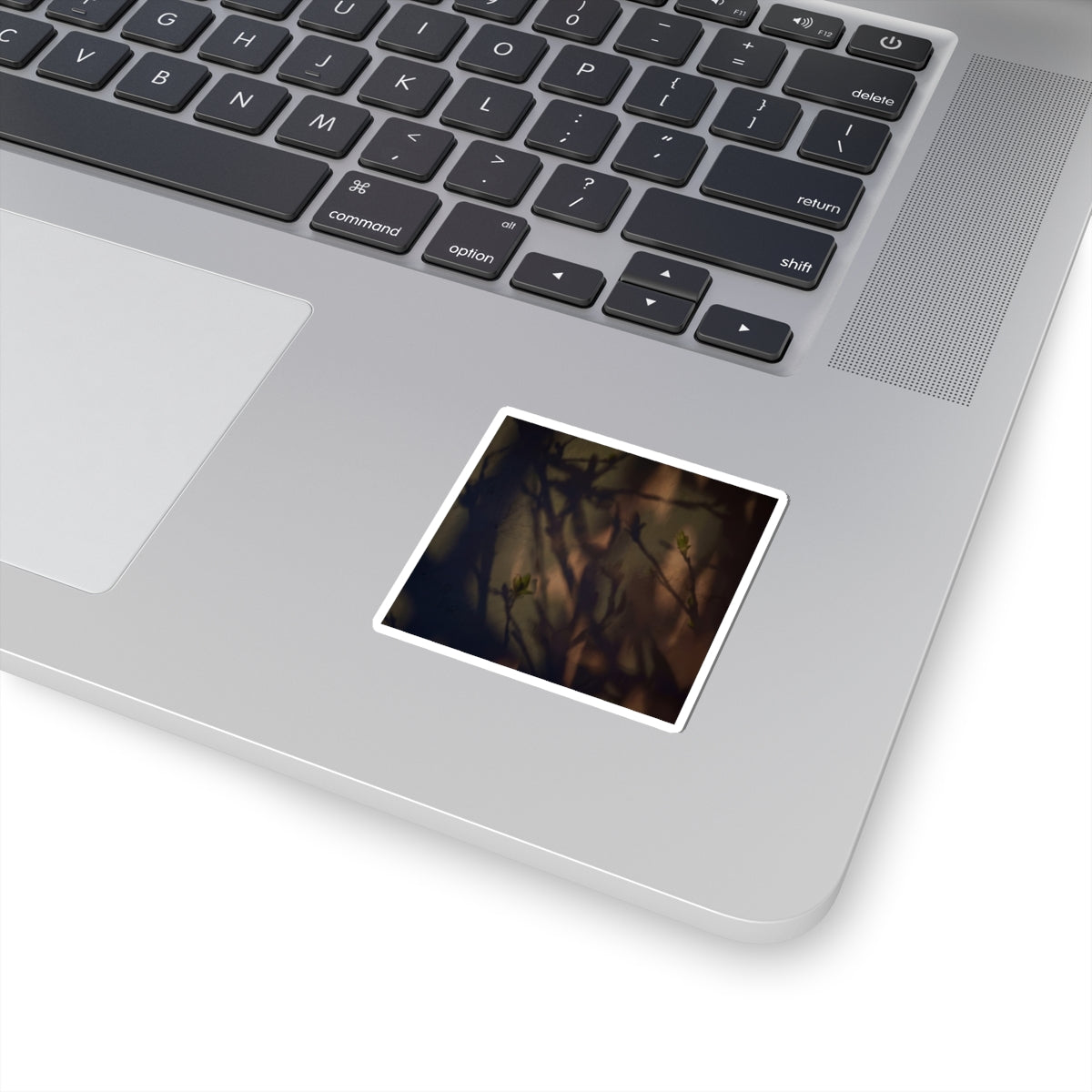 Shadow Play Sticker | Spring Dark Japandi Moody Minimal Art