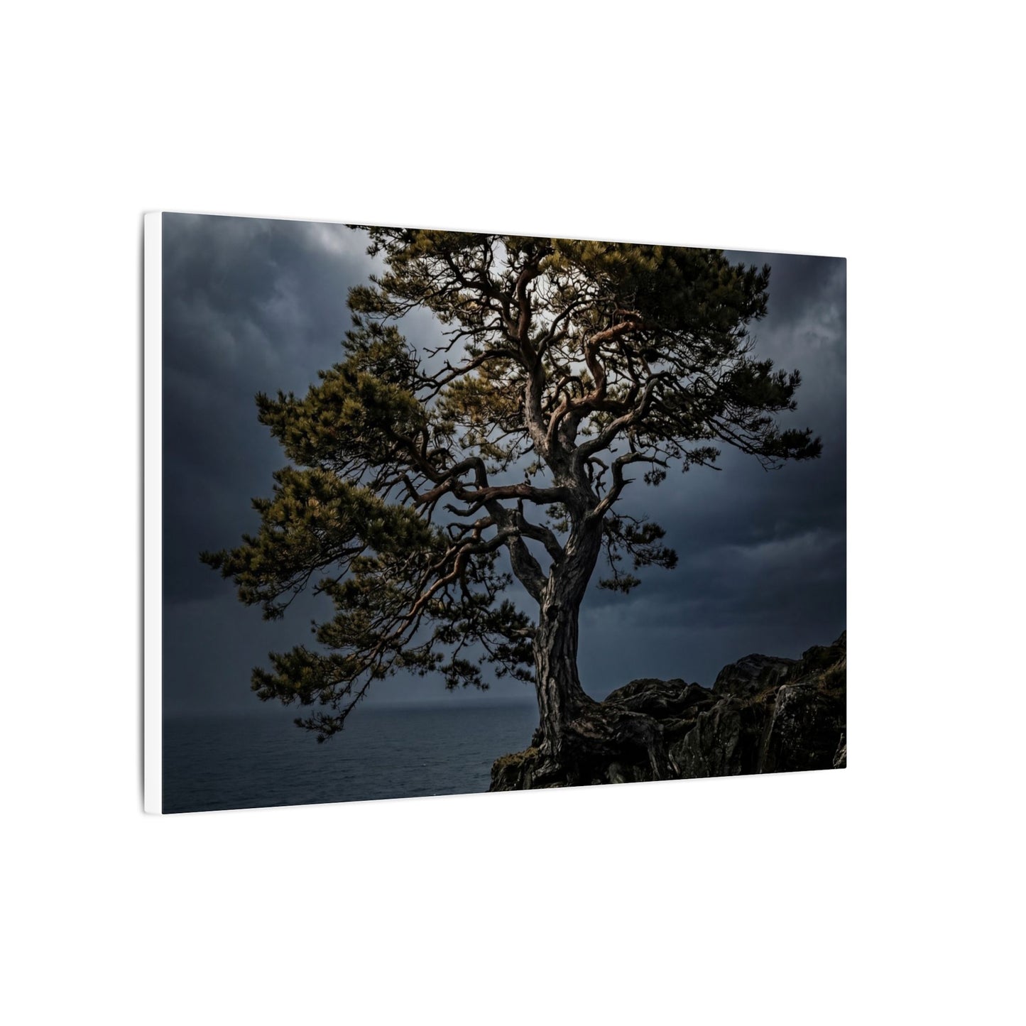Dappled Pine Tree Canvas Art - Dark Japandi Fukinsei