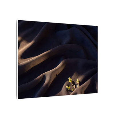 Silk Drape Shadow Zen Canvas Art | Luxurious Dark Japandi Art