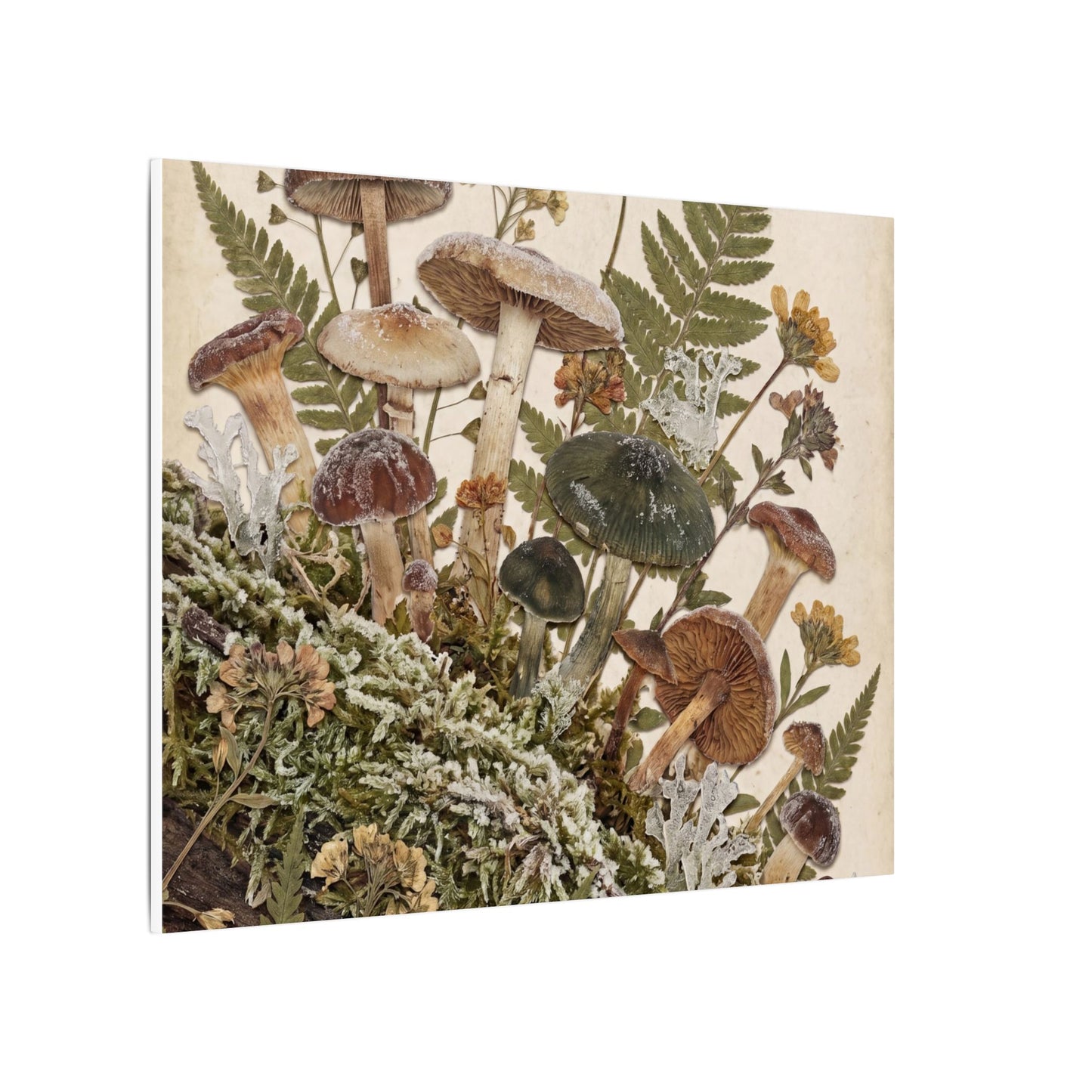 Winter Wild Mushrooms Herbarium Canvas Art | Enchanting Decor