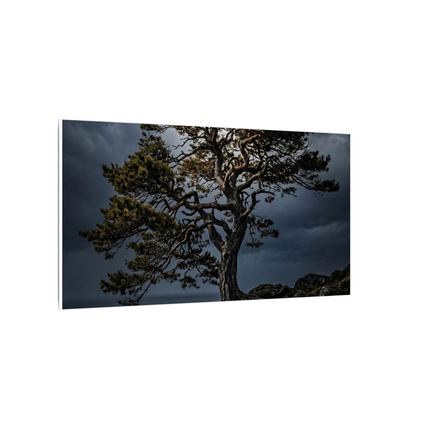 Dappled Pine Tree Canvas Art - Dark Japandi Fukinsei