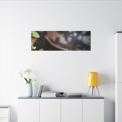 Ceramic Bowl Shadow Zen Canvas Art | Moody Dark Japandi Art
