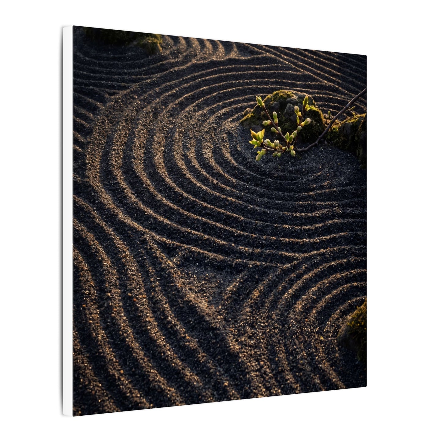 Spring Rock Garden Shadow Zen Canvas Art | Atmospheric Decor