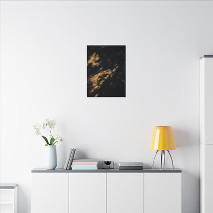 Moody Shadow Play Canvas Art - Moody Minimal Dark Japandi