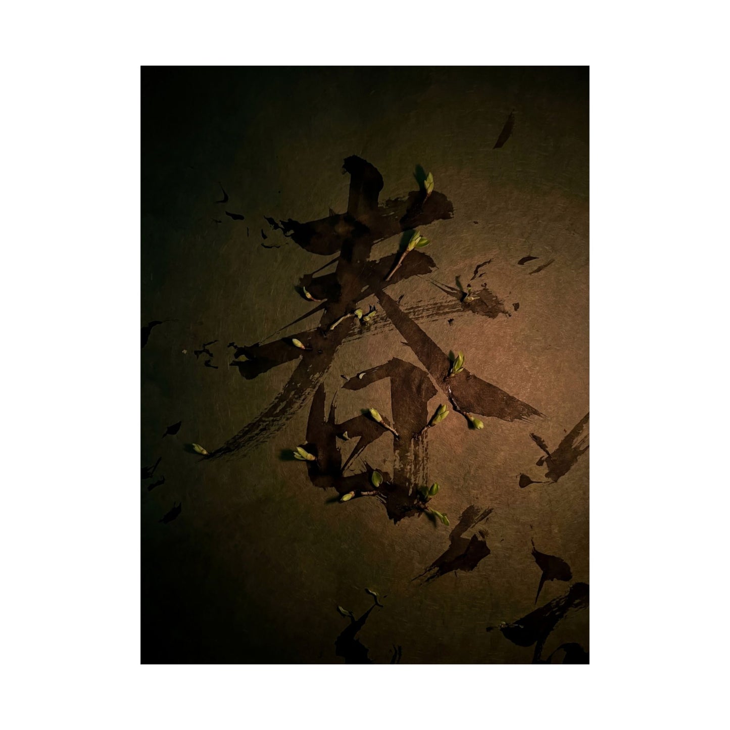 Spring Calligraphy Shadow Zen Wall Art Print | Sophisticated Decor