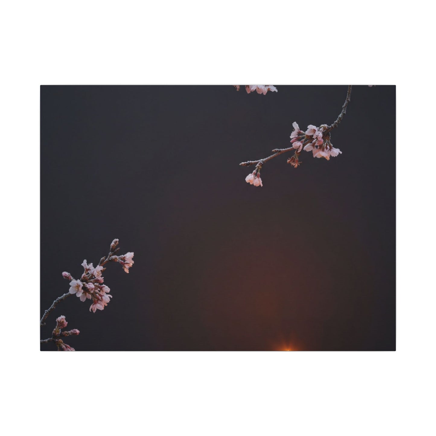 Dark Japandi Cherry Blossom in Candlelight | Moody Minimal Canvas Art Art Print