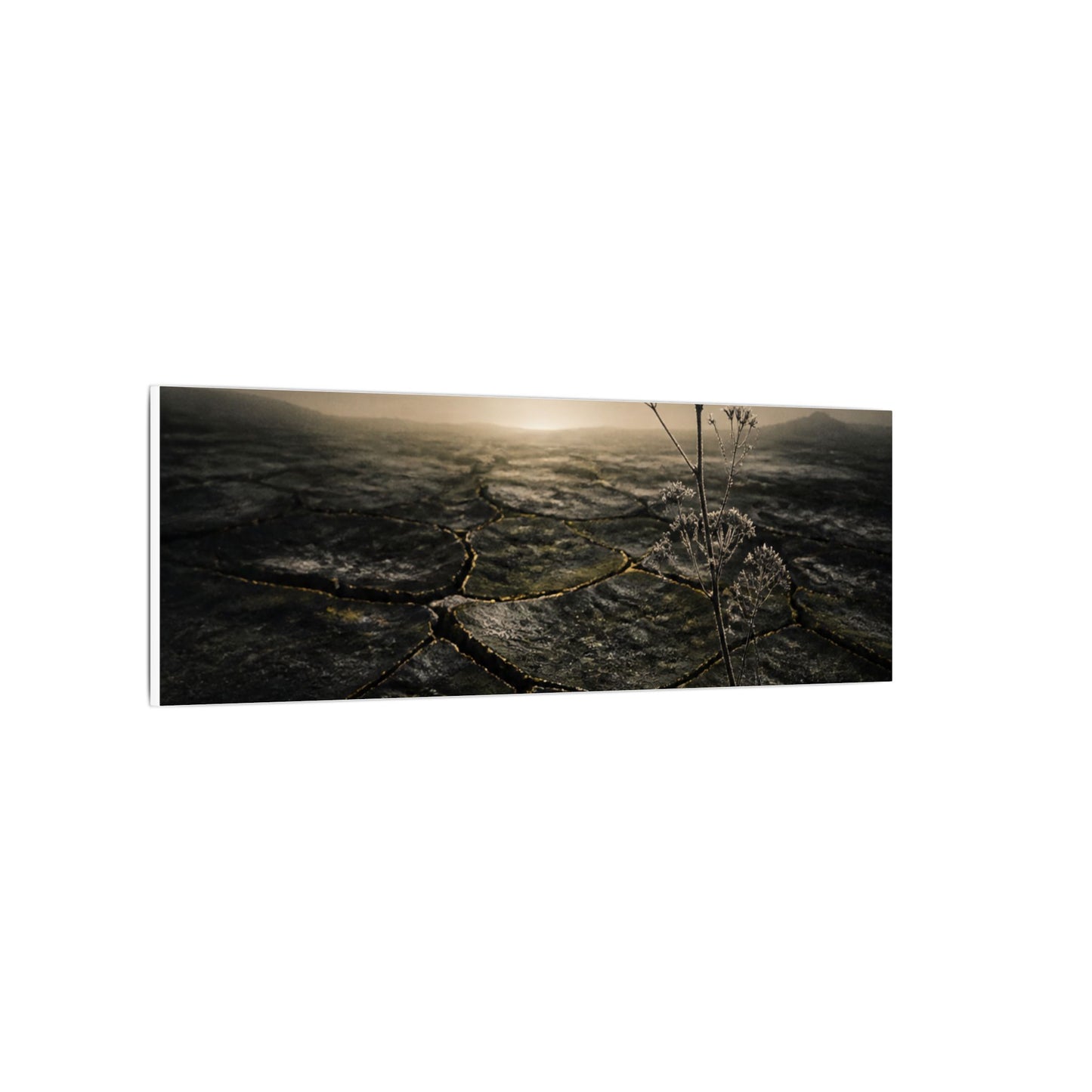 Dawn Cracked Earth Canvas Art - Dark Japandi Mono No Aware
