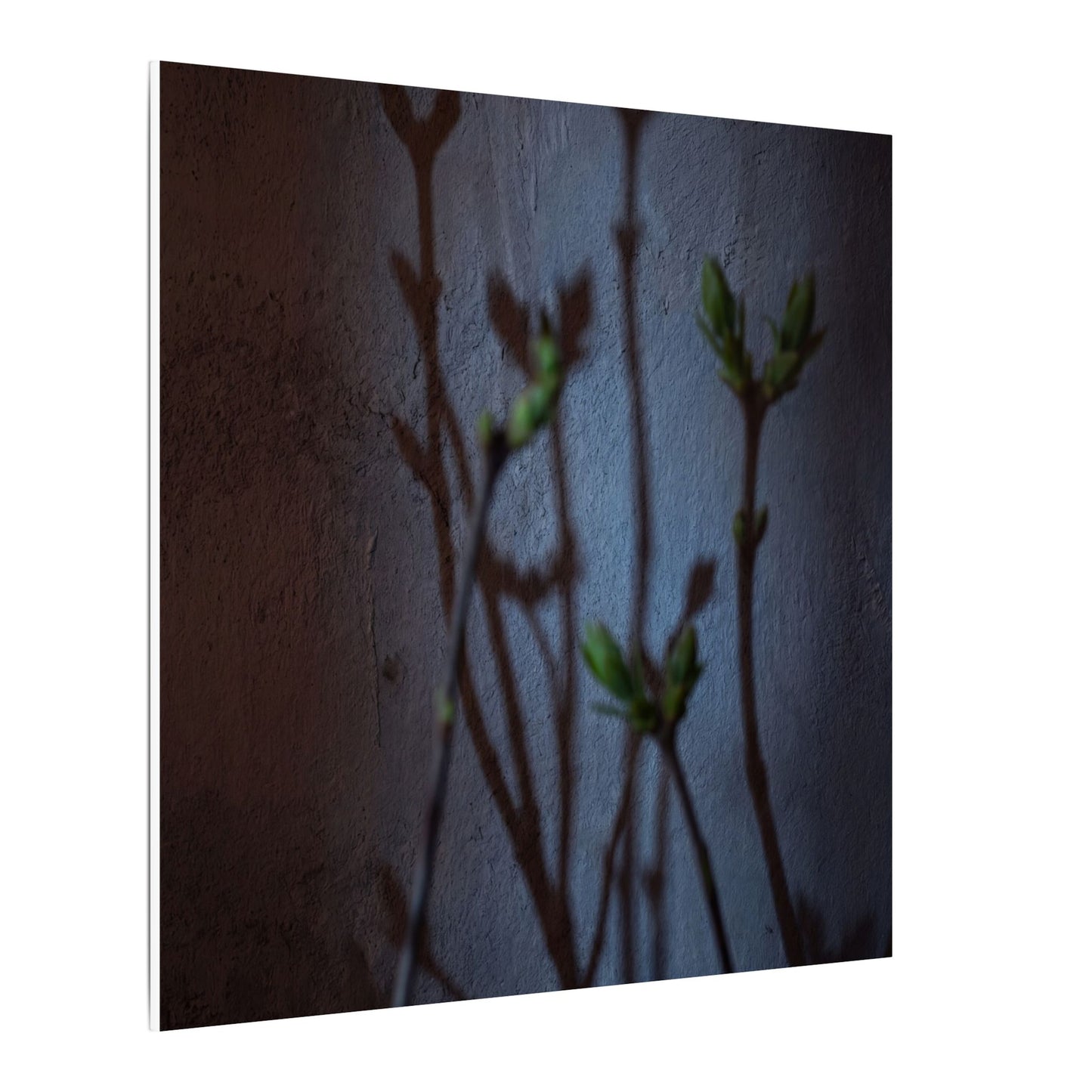 Shadow Play Spring Canvas Art | Dark Japandi Sophisticated Design
