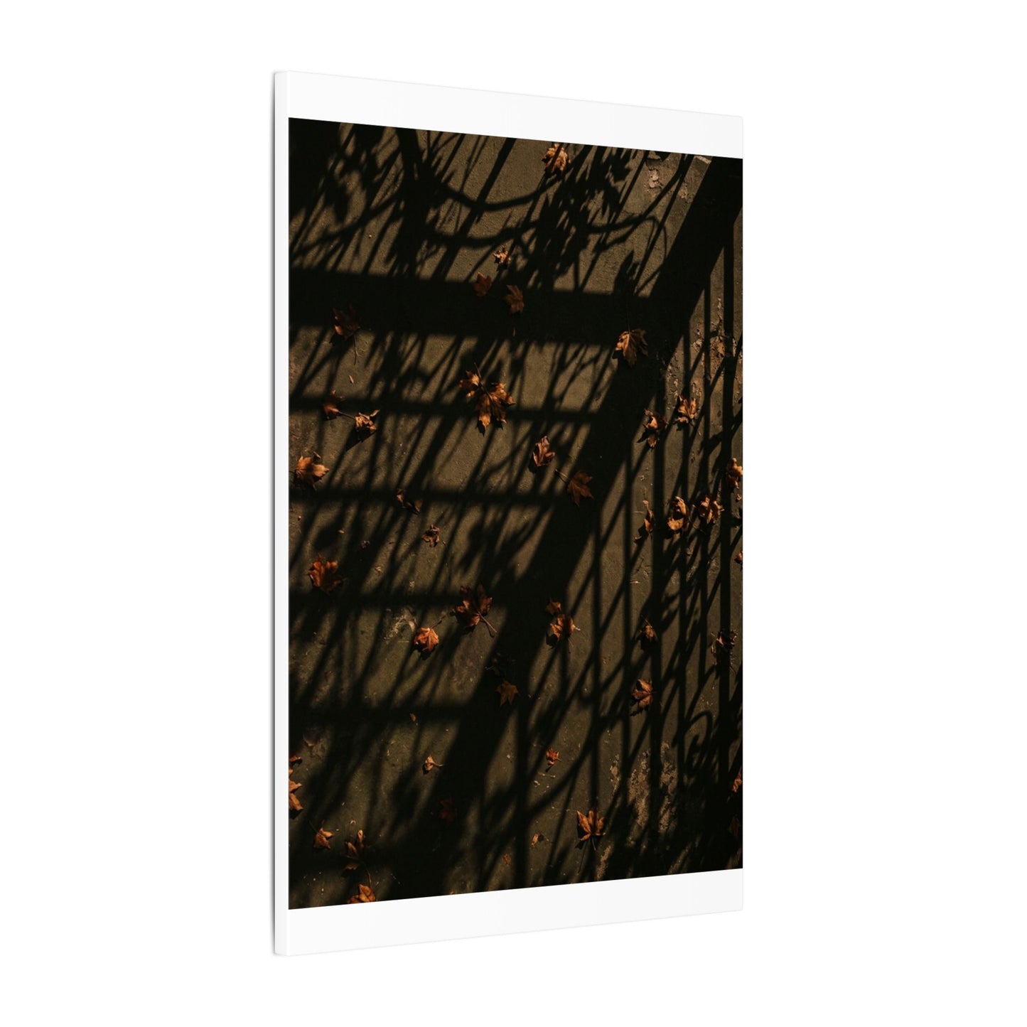 Dark Japandi Shadow Play in Golden Hour | Moody Minimal Canvas Art