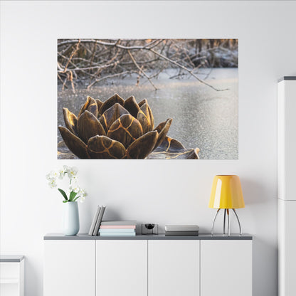 Lotus Flower Gold Repair Canvas Art | Beautiful Kintsugi Art