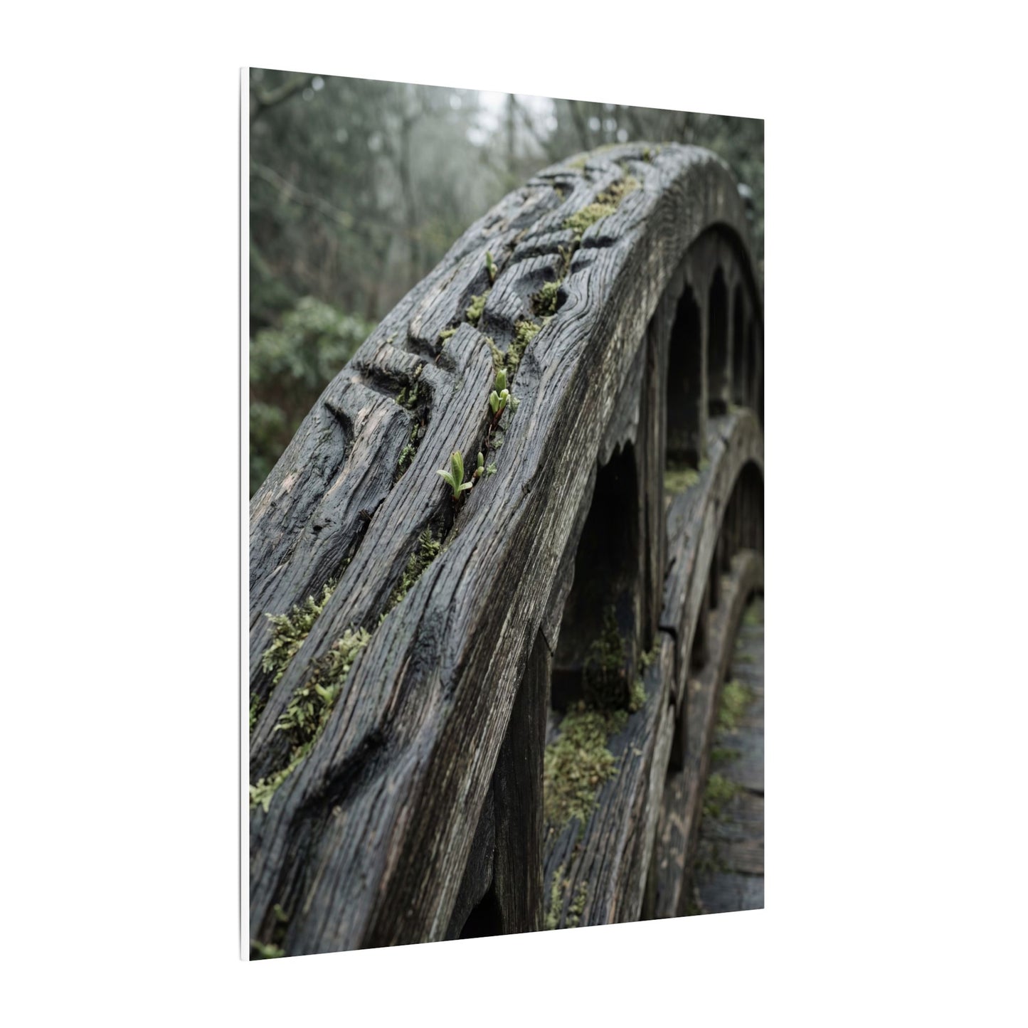 Overcast Wooden Bridge Canvas Art - Japandi Kanso