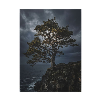 Dappled Pine Tree Canvas Art - Dark Japandi Fukinsei