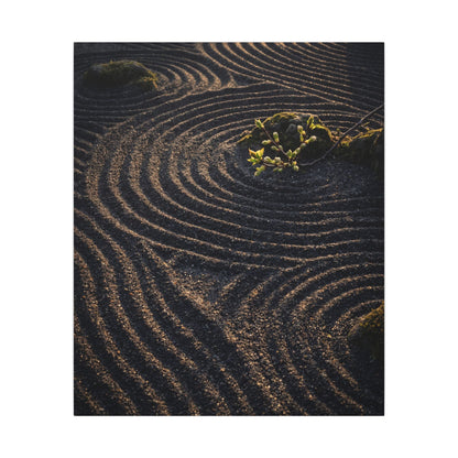 Spring Rock Garden Shadow Zen Canvas Art | Atmospheric Decor