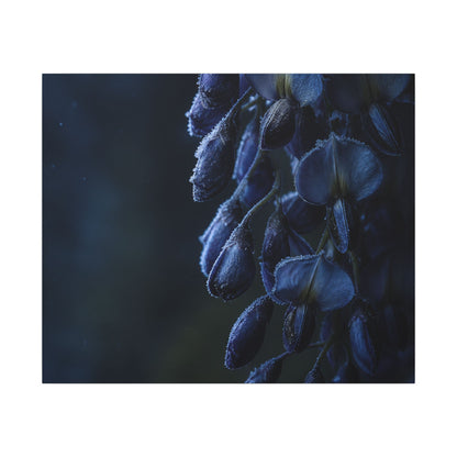 Winter Wisteria Shadow Zen Canvas Art | Atmospheric Decor