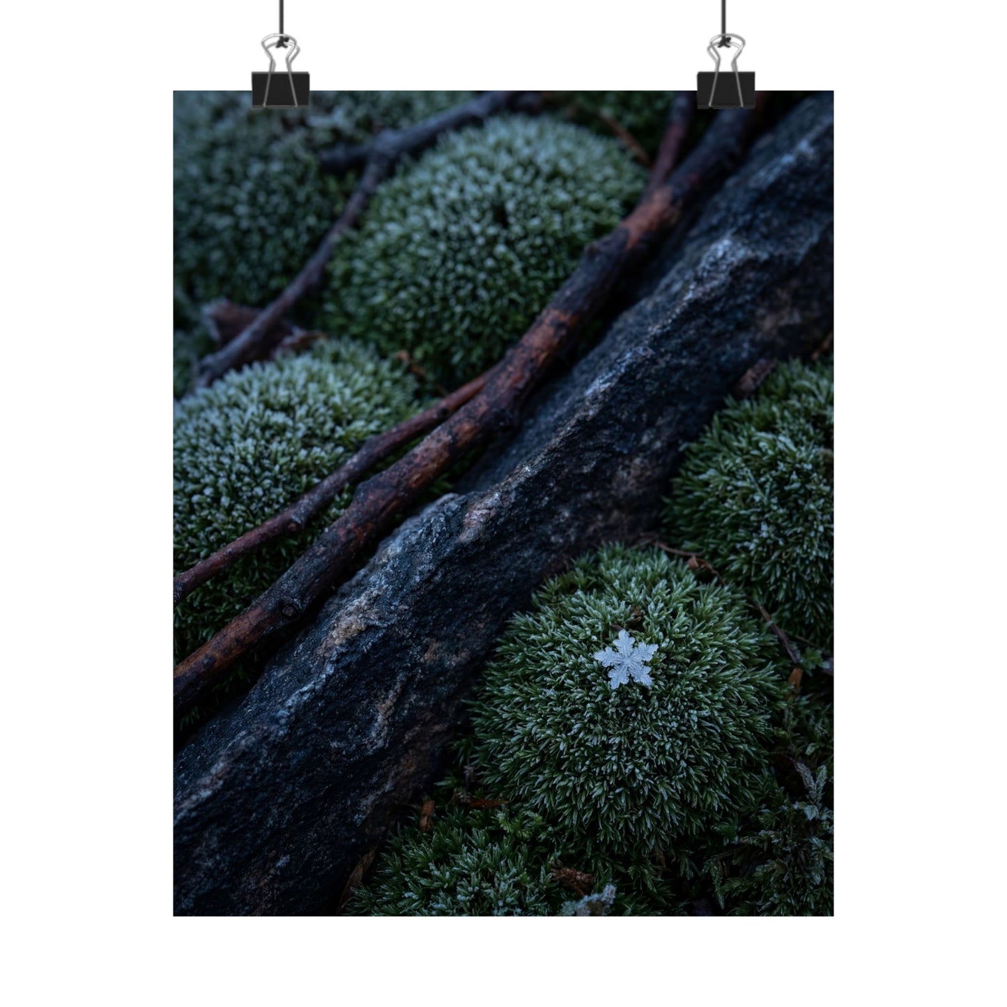 Moss Close Up Moody Minimal Wall Art Print | Moody Dark Japandi Art Art Print