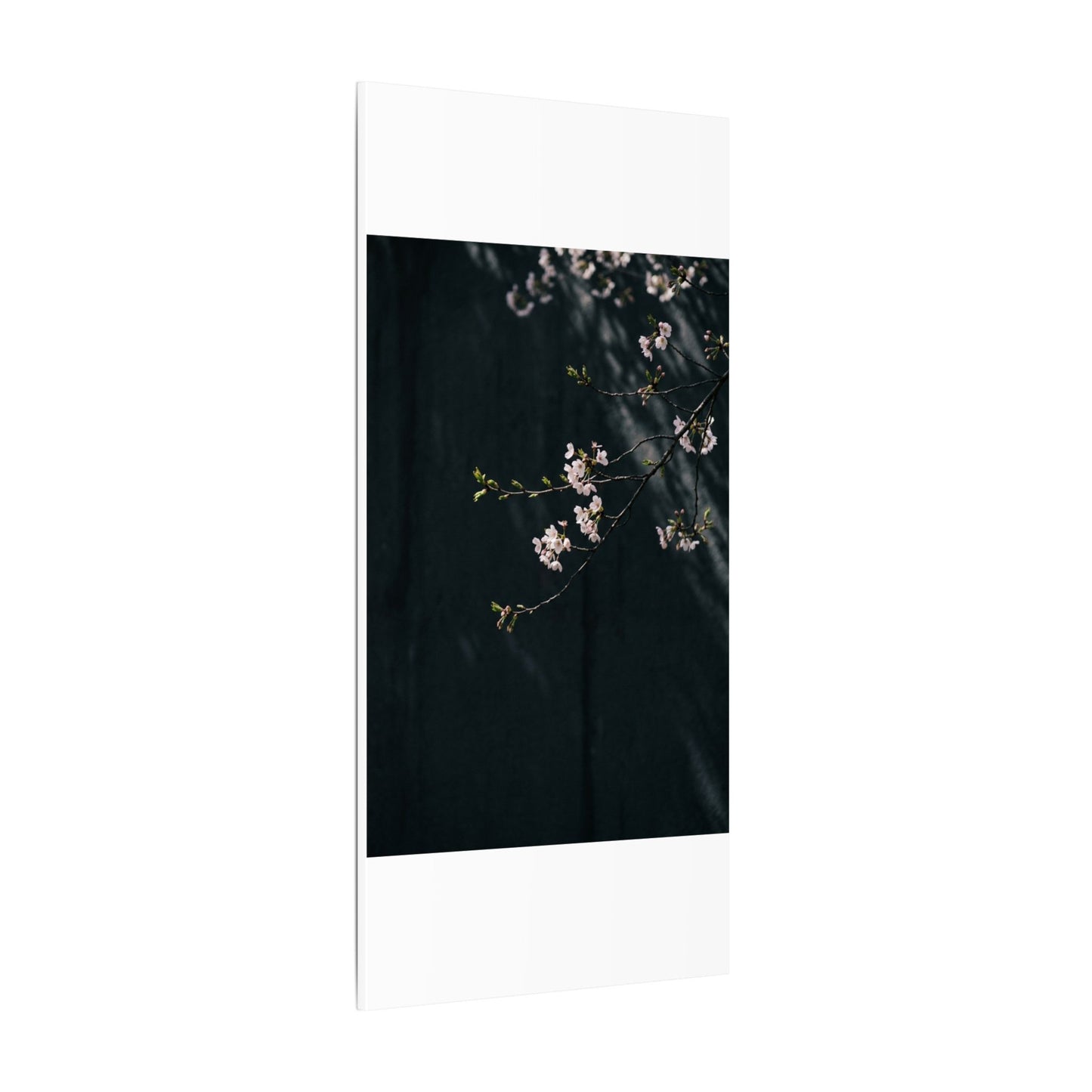 Cherry Blossom Spring Canvas Art | Dark Japandi Sophisticated Design