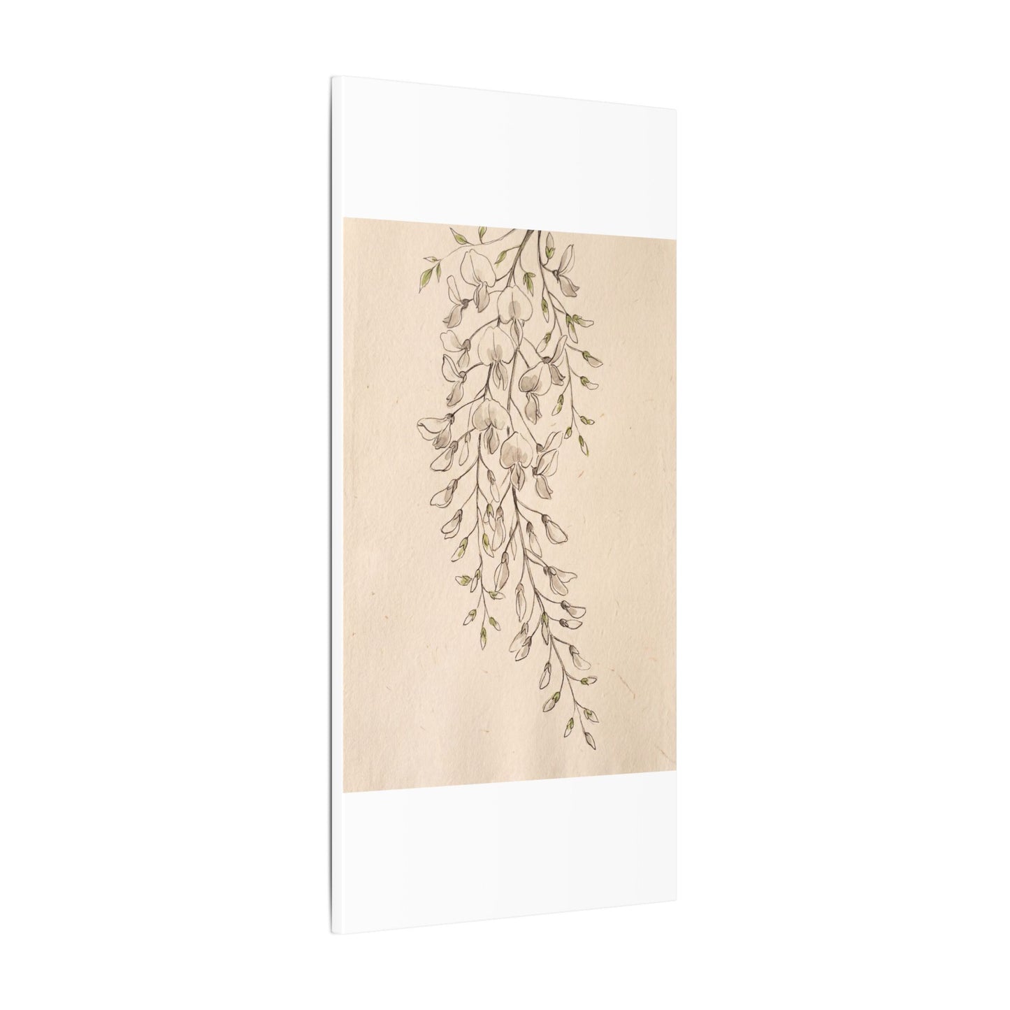 Japandi Wisteria in Golden Hour | Minimal Line Canvas Art