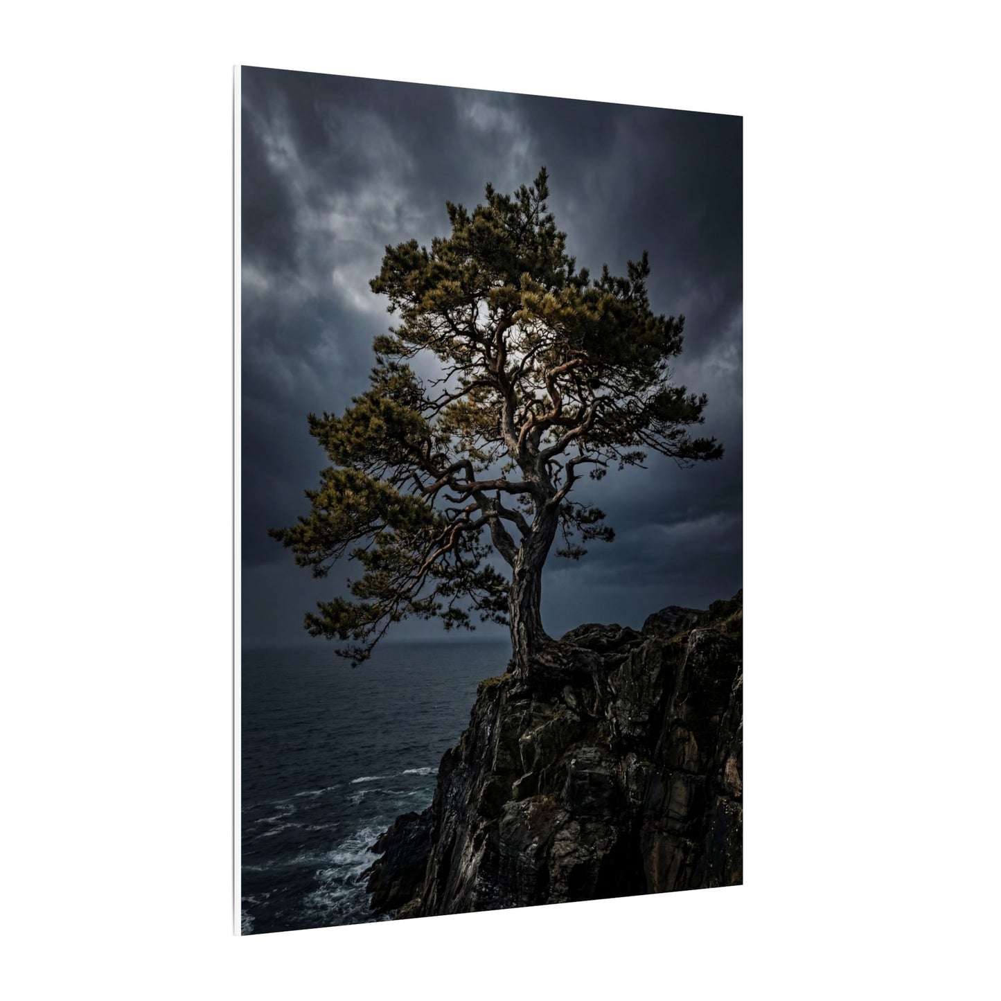 Dappled Pine Tree Canvas Art - Dark Japandi Fukinsei