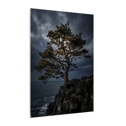 Dappled Pine Tree Canvas Art - Dark Japandi Fukinsei