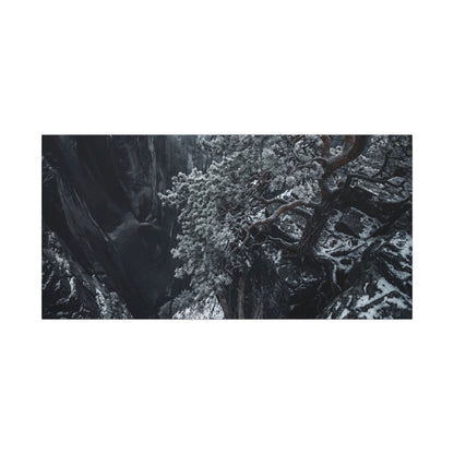 Dark Japandi Pine Tree in Dappled | Dark Texture Canvas Art