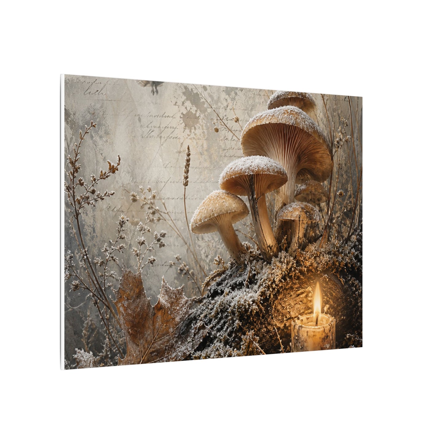 Wild Mushrooms Texture Canvas Art | Elegant Japandi Art