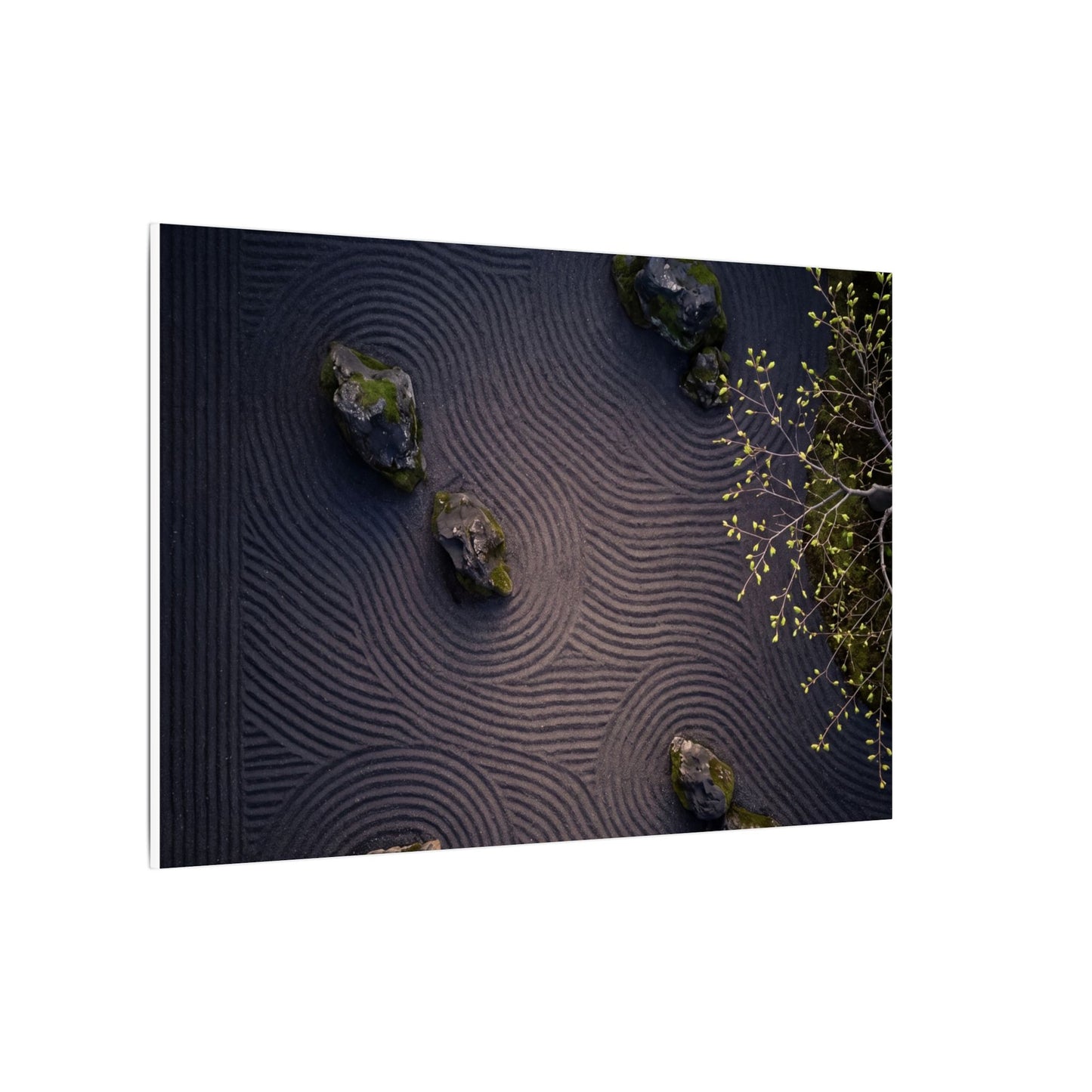 Dark Japandi Rock Garden in Dawn | Shadow Zen Canvas Art