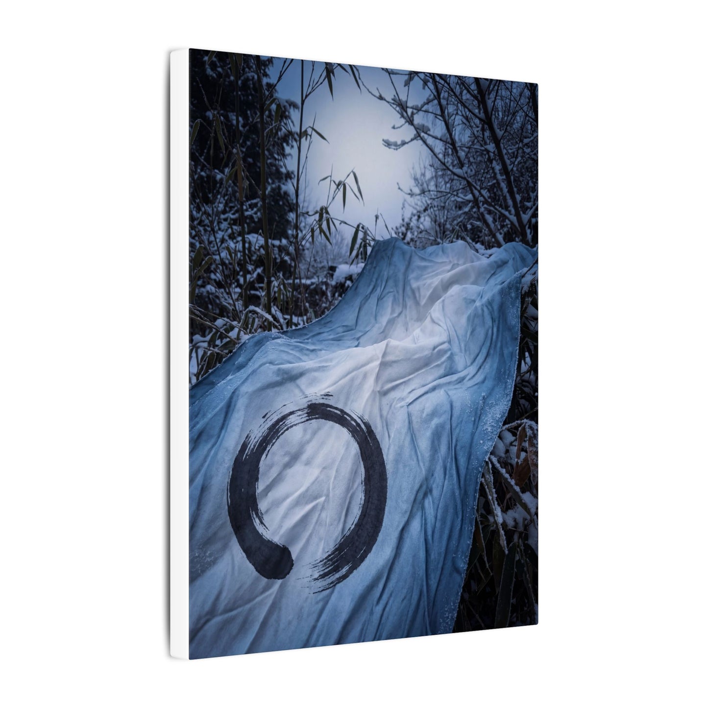 Moonlight Silk Drape Canvas Art - Zen Datsuzoku