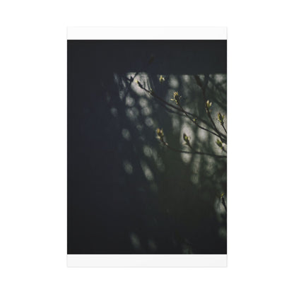 Dark Japandi Shoji Screen in Dappled | Moody Minimal Canvas Art