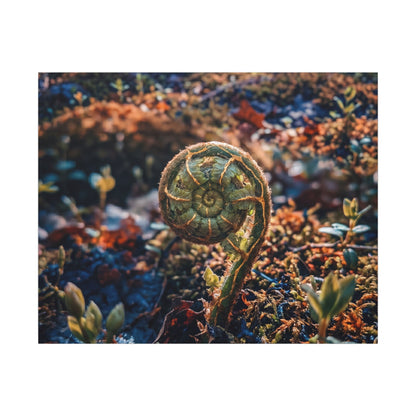 Kintsugi Fern Unfurling in Dappled | Gold Vein Canvas Art