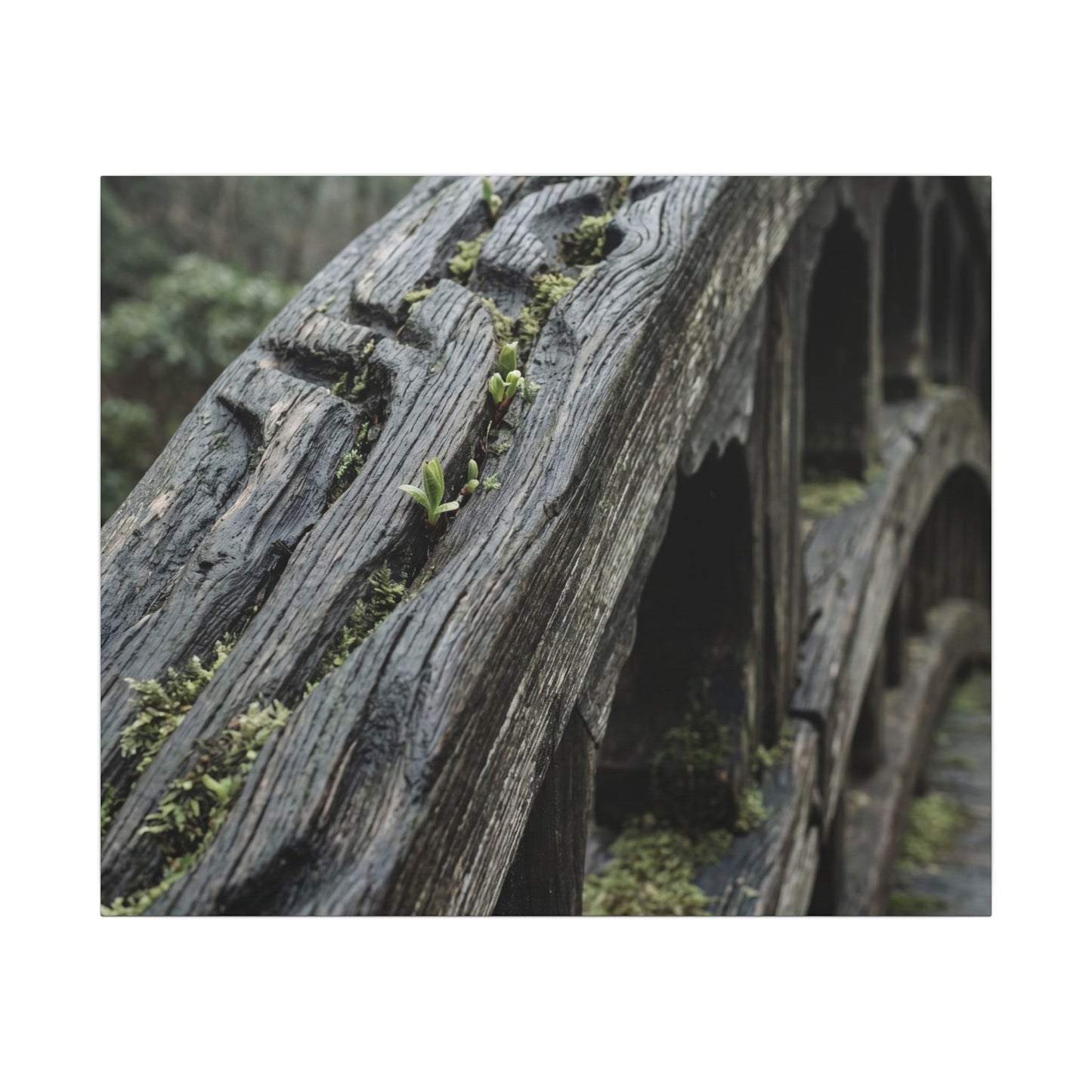 Overcast Wooden Bridge Canvas Art - Japandi Kanso