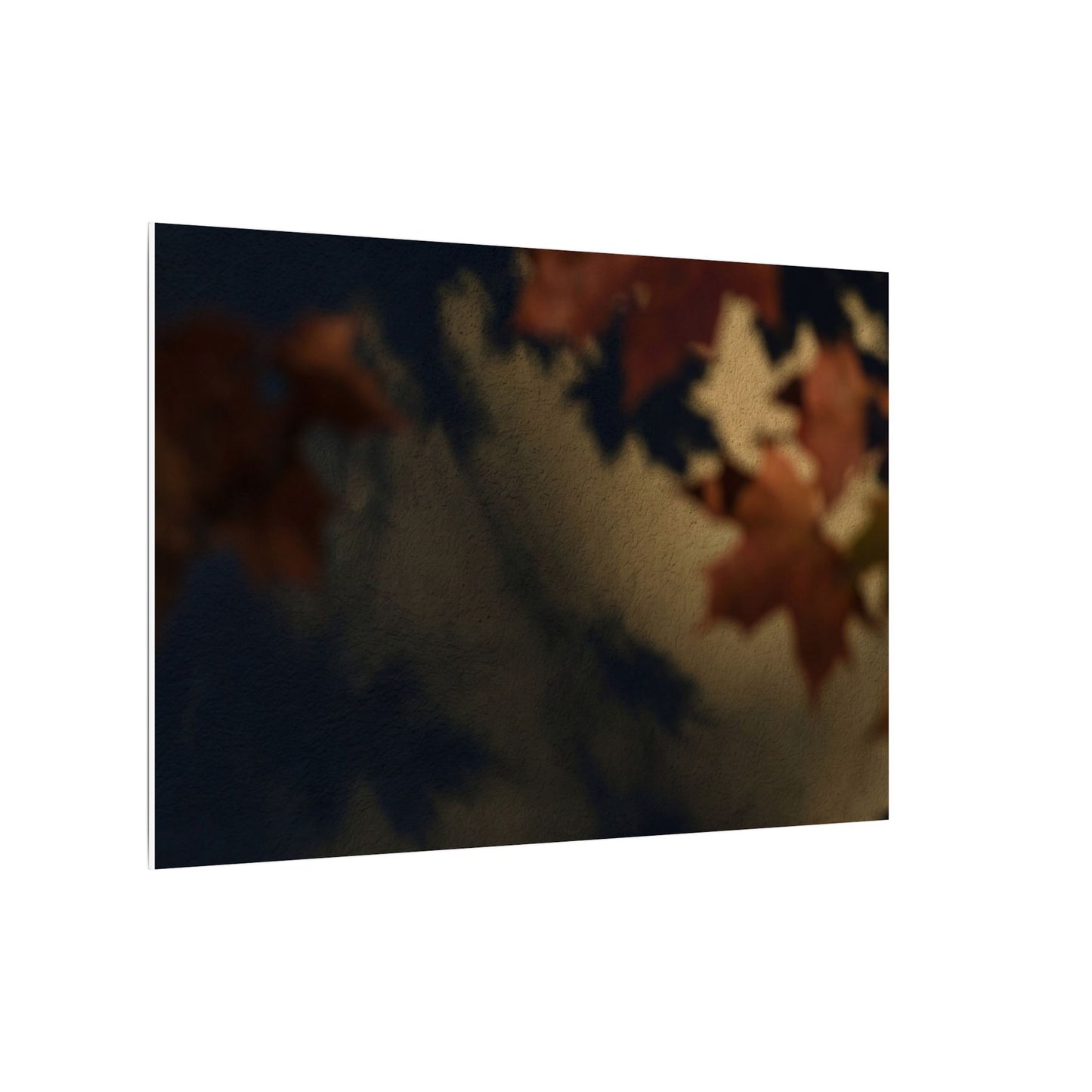 Shadow Play Canvas Art | Autumn Dark Japandi Moody Minimal Art