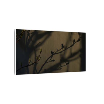 Seijaku Shadow Play Canvas Art - Dark Japandi Charcoal Ink