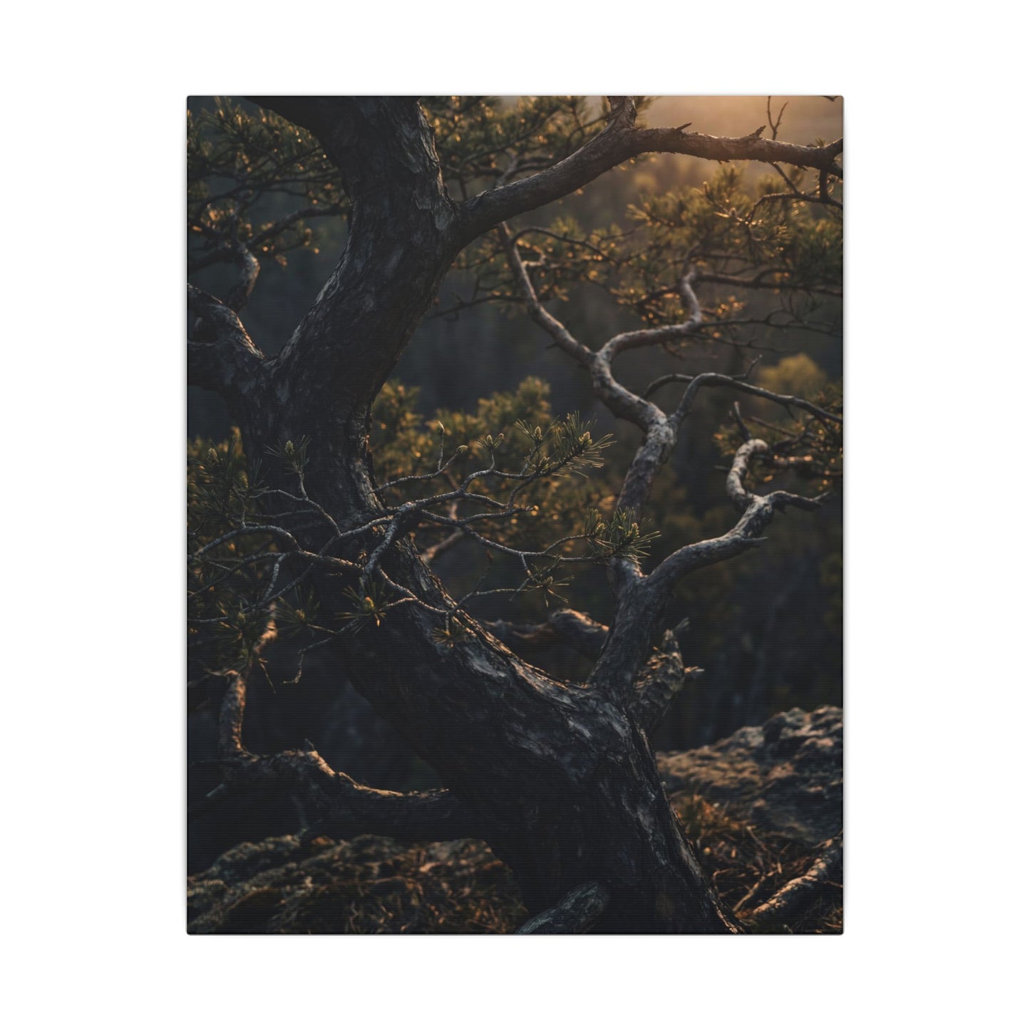 Moody Pine Tree Canvas Art - Moody Minimal Dark Japandi