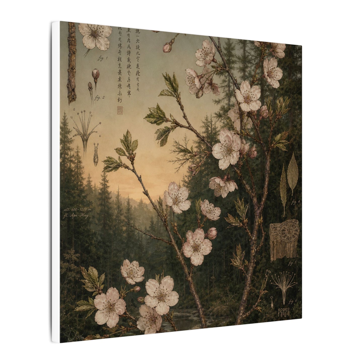 Spring Cherry Blossom Herbarium Canvas Art | Nostalgic Decor
