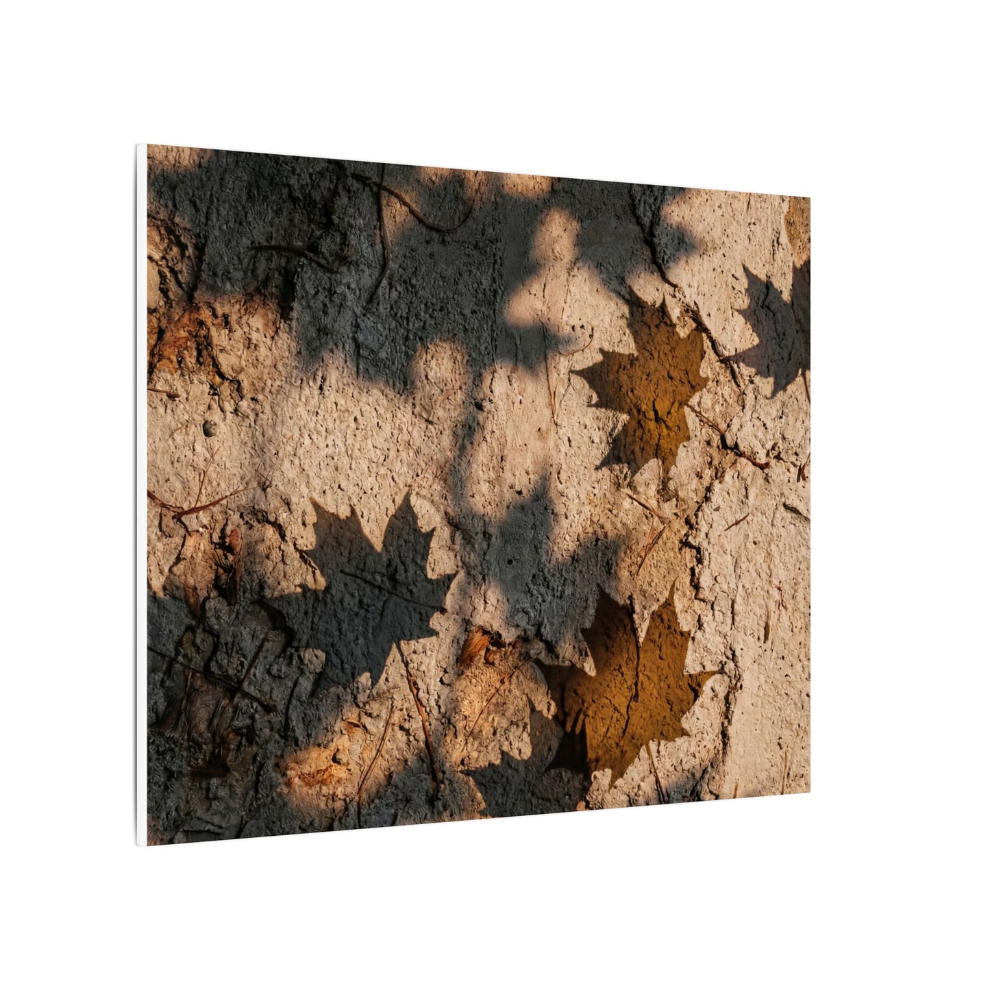 Cozy Shadow Play Canvas Art - Texture Japandi