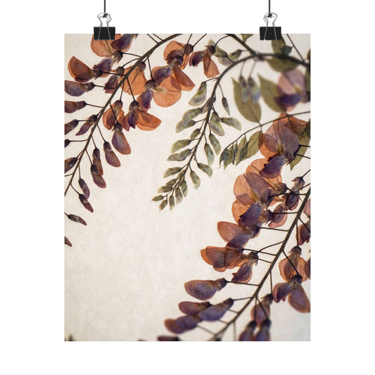 Wisteria Herbarium Wall Art Print | Cozy Cottagecore Art
