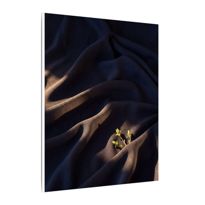 Silk Drape Shadow Zen Canvas Art | Luxurious Dark Japandi Art