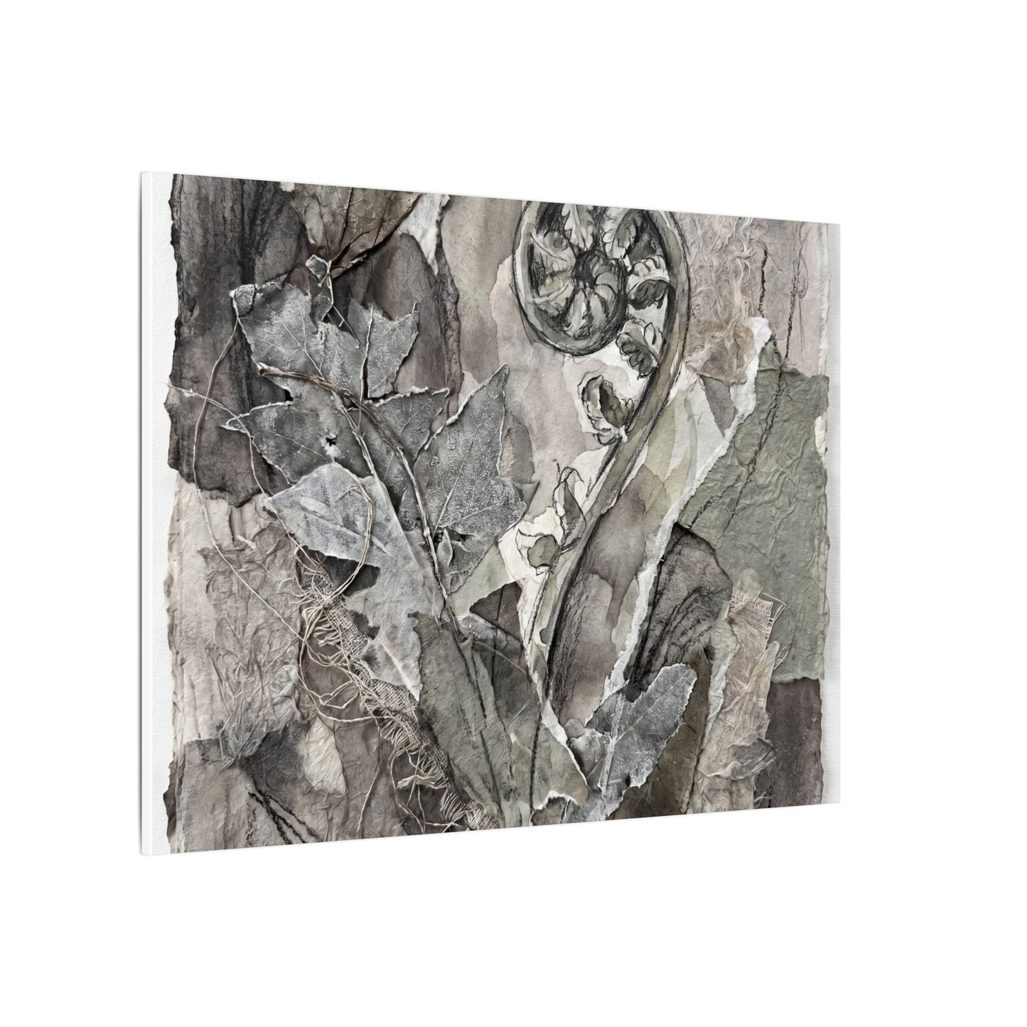 Japandi Fern Unfurling in Overcast | Texture Canvas Art