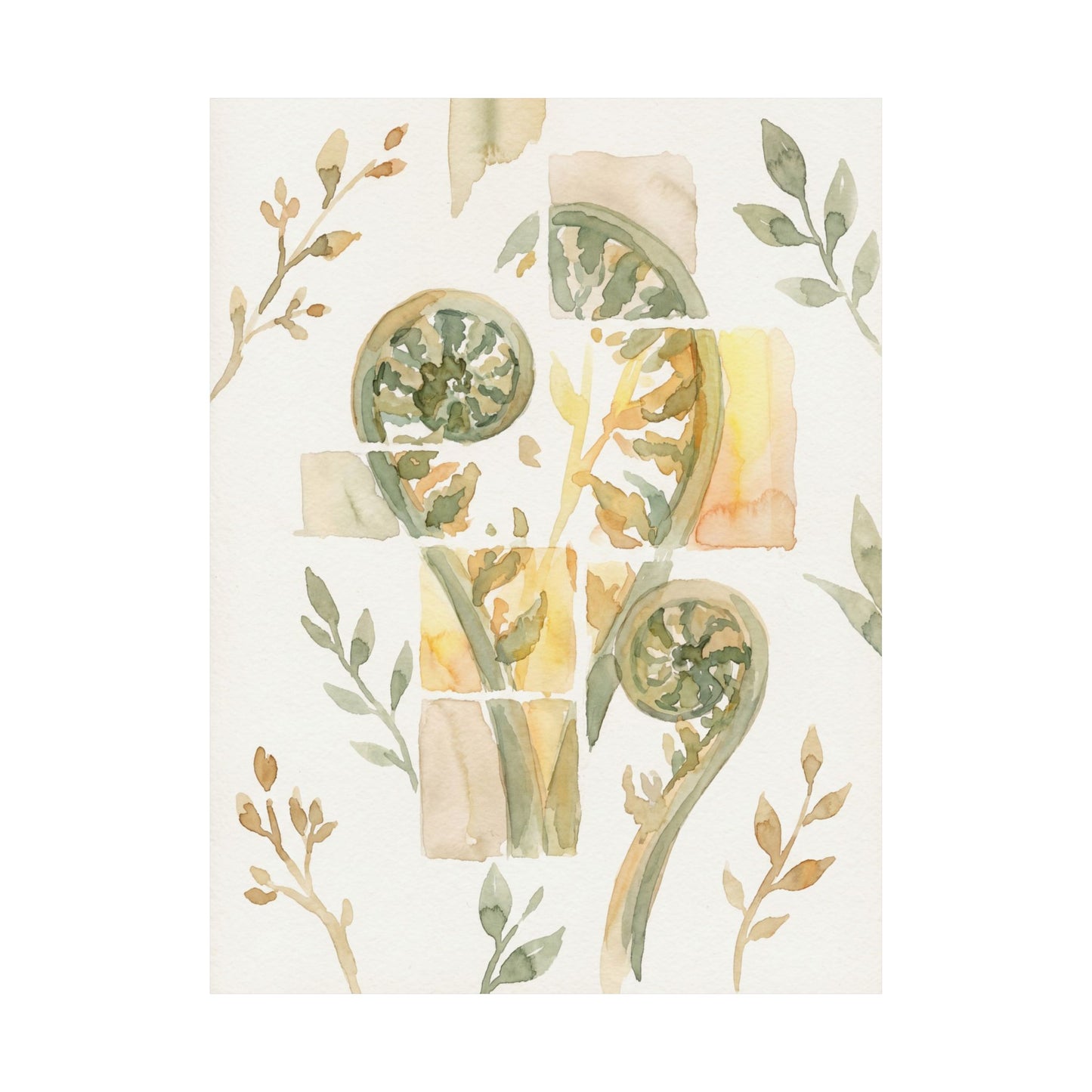 Kanso Fern Unfurling Wall Art Print - Japandi Watercolor