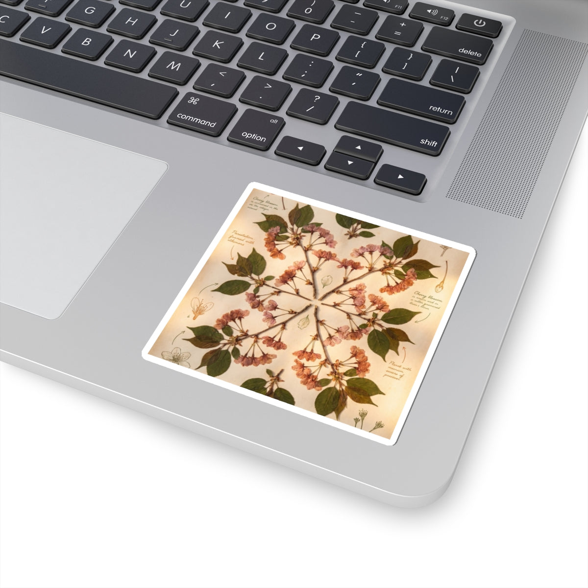 Summer Cherry Blossom Herbarium Sticker | Nostalgic Decor Art Print