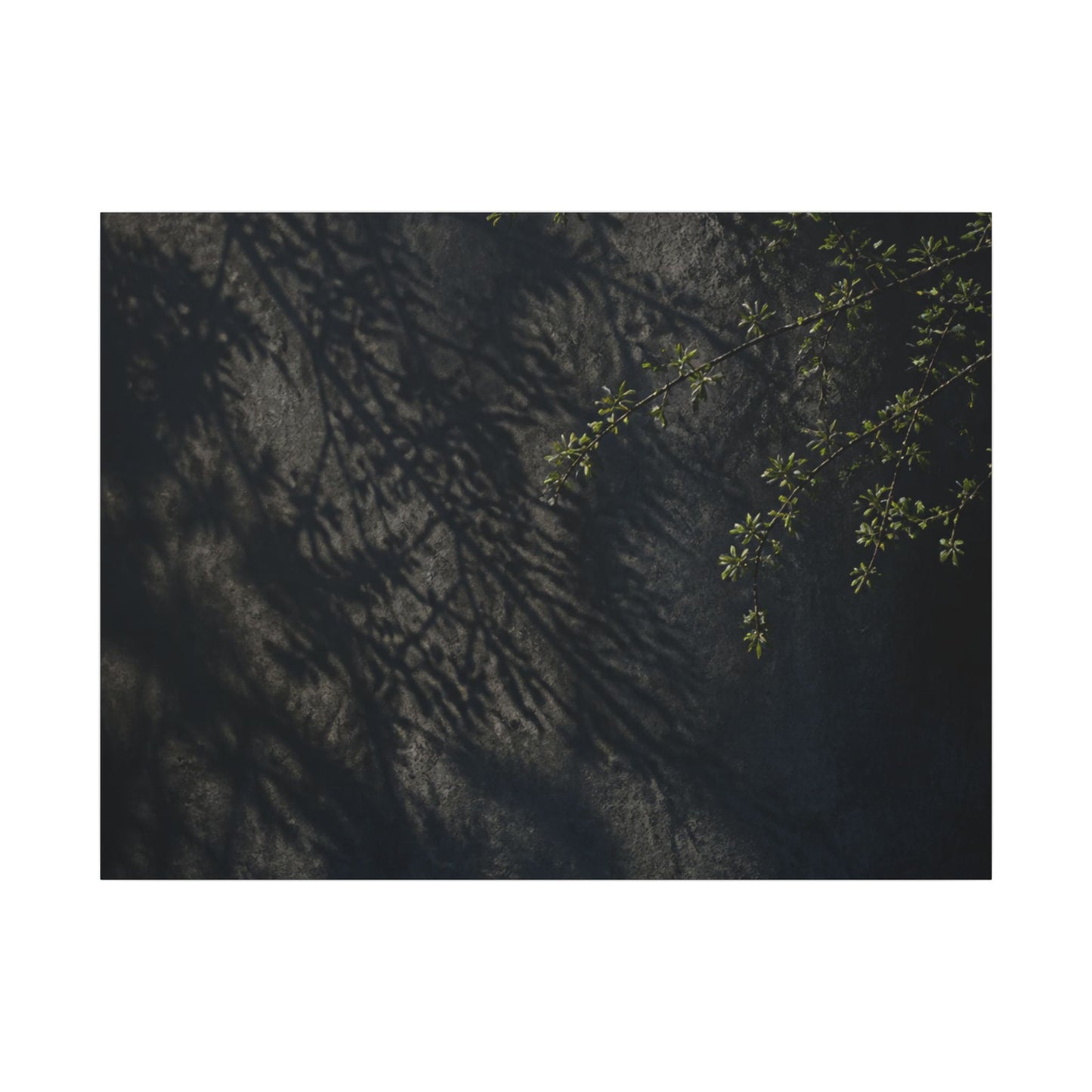 Overcast Shadow Play Canvas Art - Dark Japandi Seijaku
