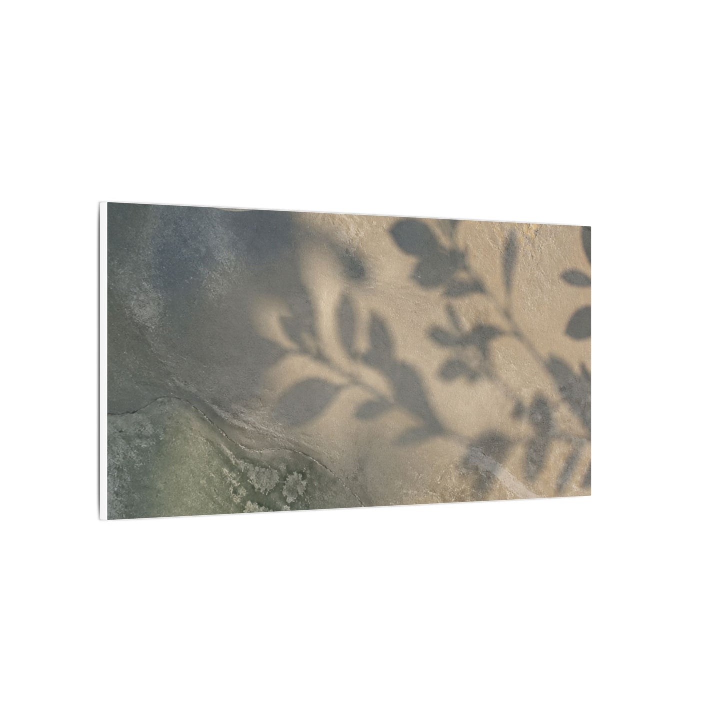 Japandi Shadow Play in Moonlight | Texture Canvas Art