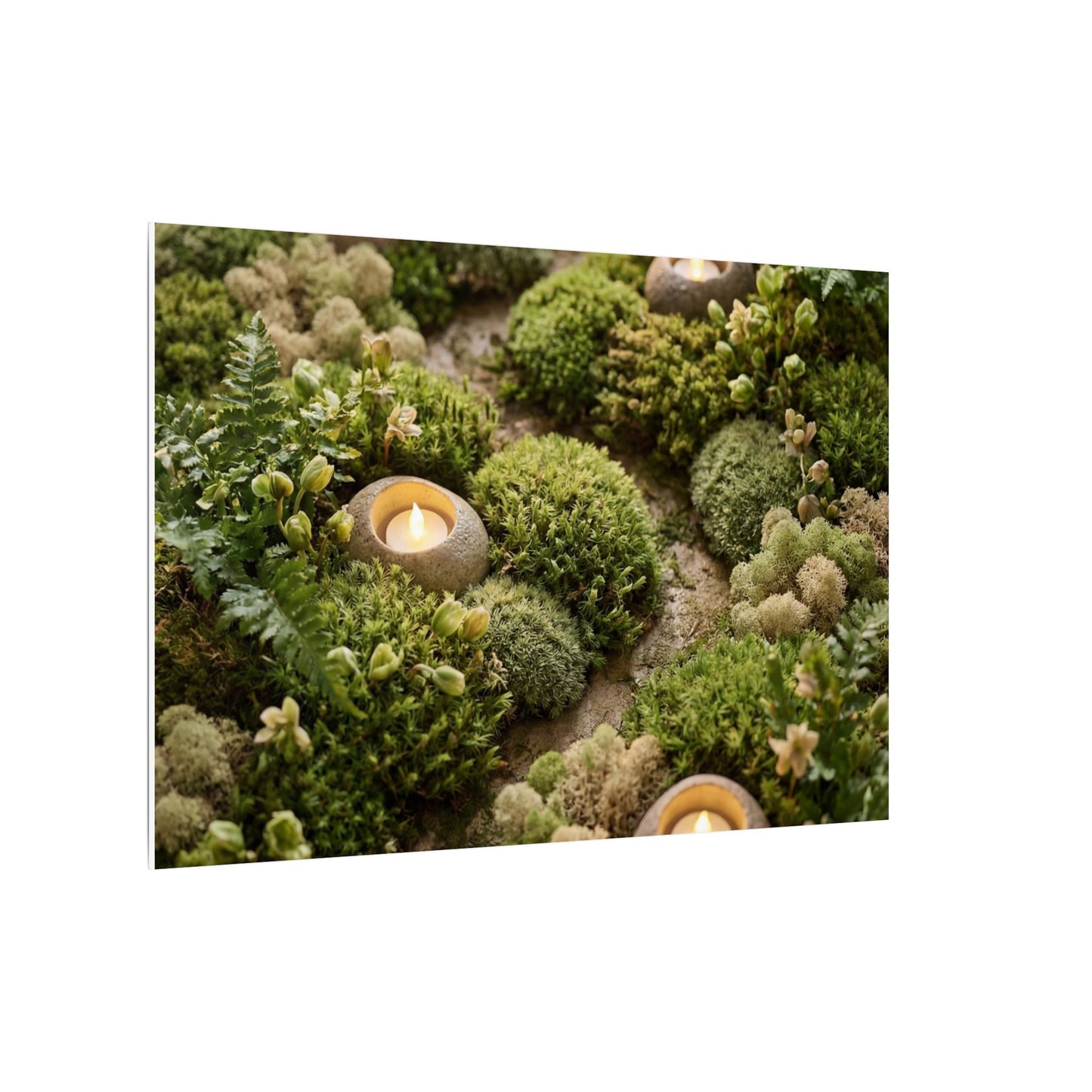 Moss Close Up Japanese Pattern Canvas Art | Neutral Japandi Art