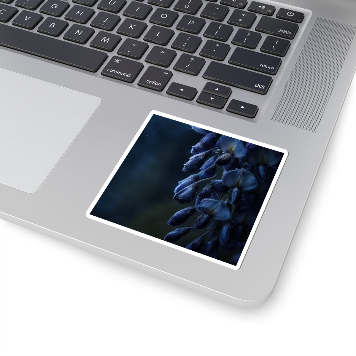 Wisteria Shadow Zen Sticker | Luxurious Dark Japandi Art