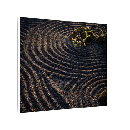 Spring Rock Garden Shadow Zen Canvas Art | Atmospheric Decor