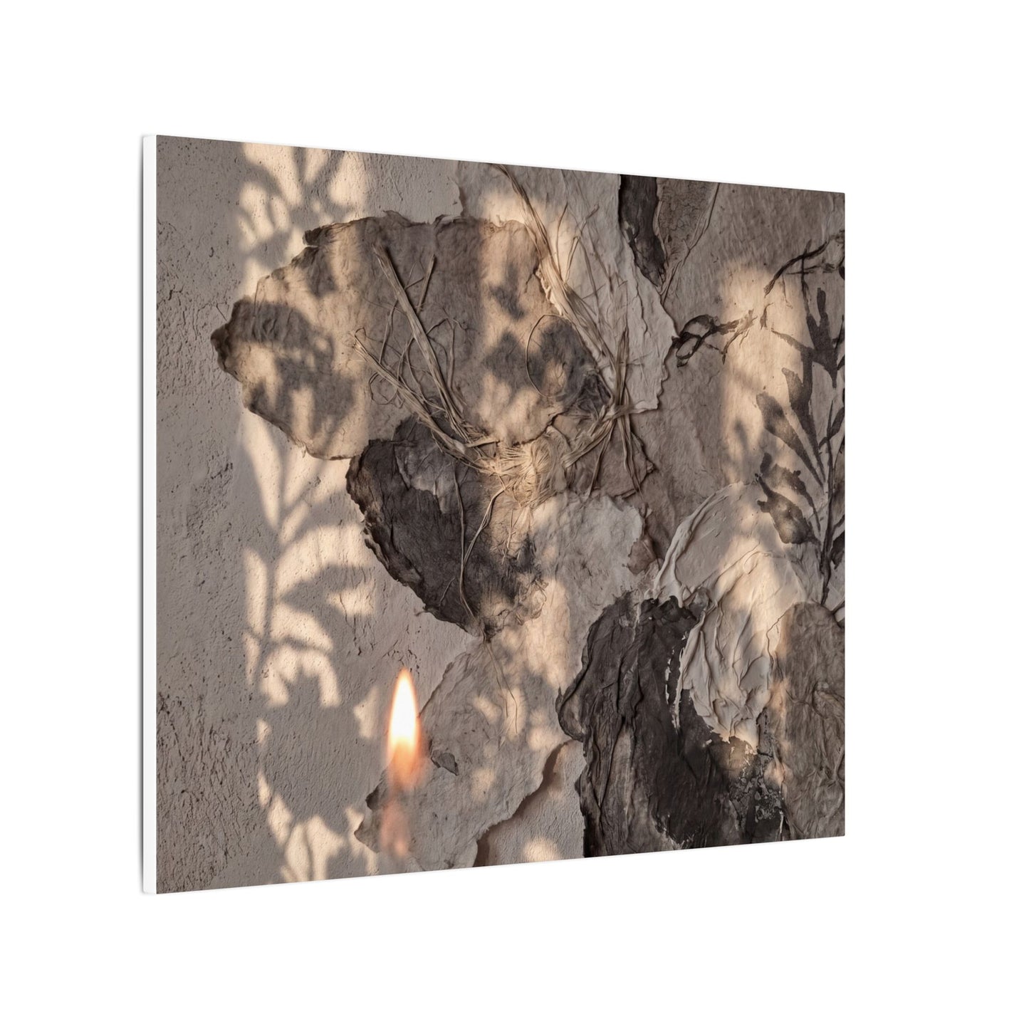 Shadow Play Summer Canvas Art | Japandi Elegant Design
